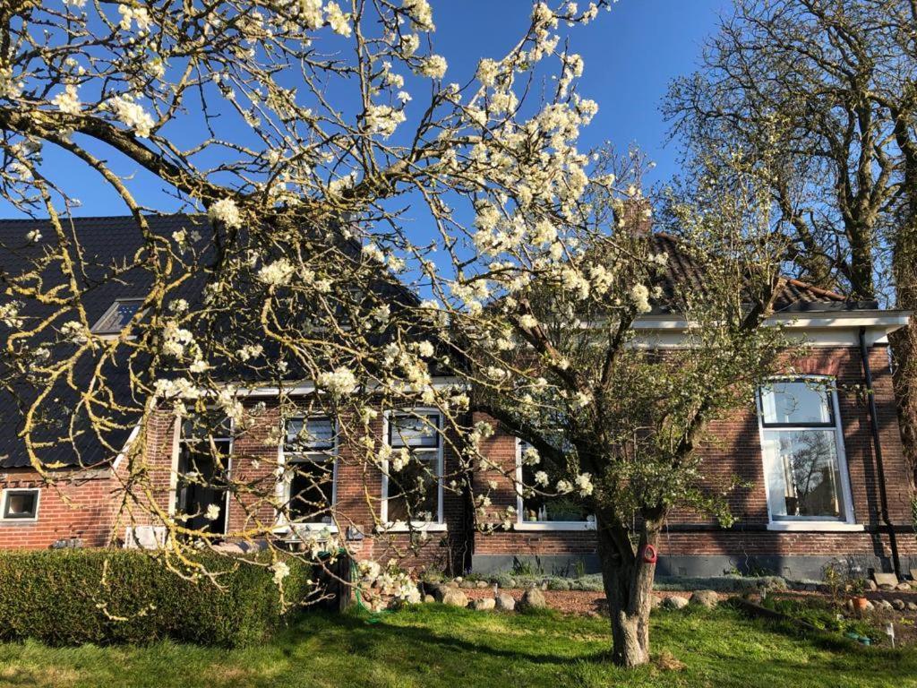 Bed and Breakfast Onder De Boom Gerkesklooster Экстерьер фото